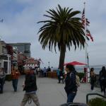Monterey2016_0141 (April 29, 2016)